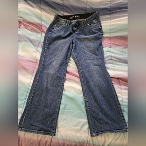 Lane bryant plus size 20 jeans straight leg boot cut